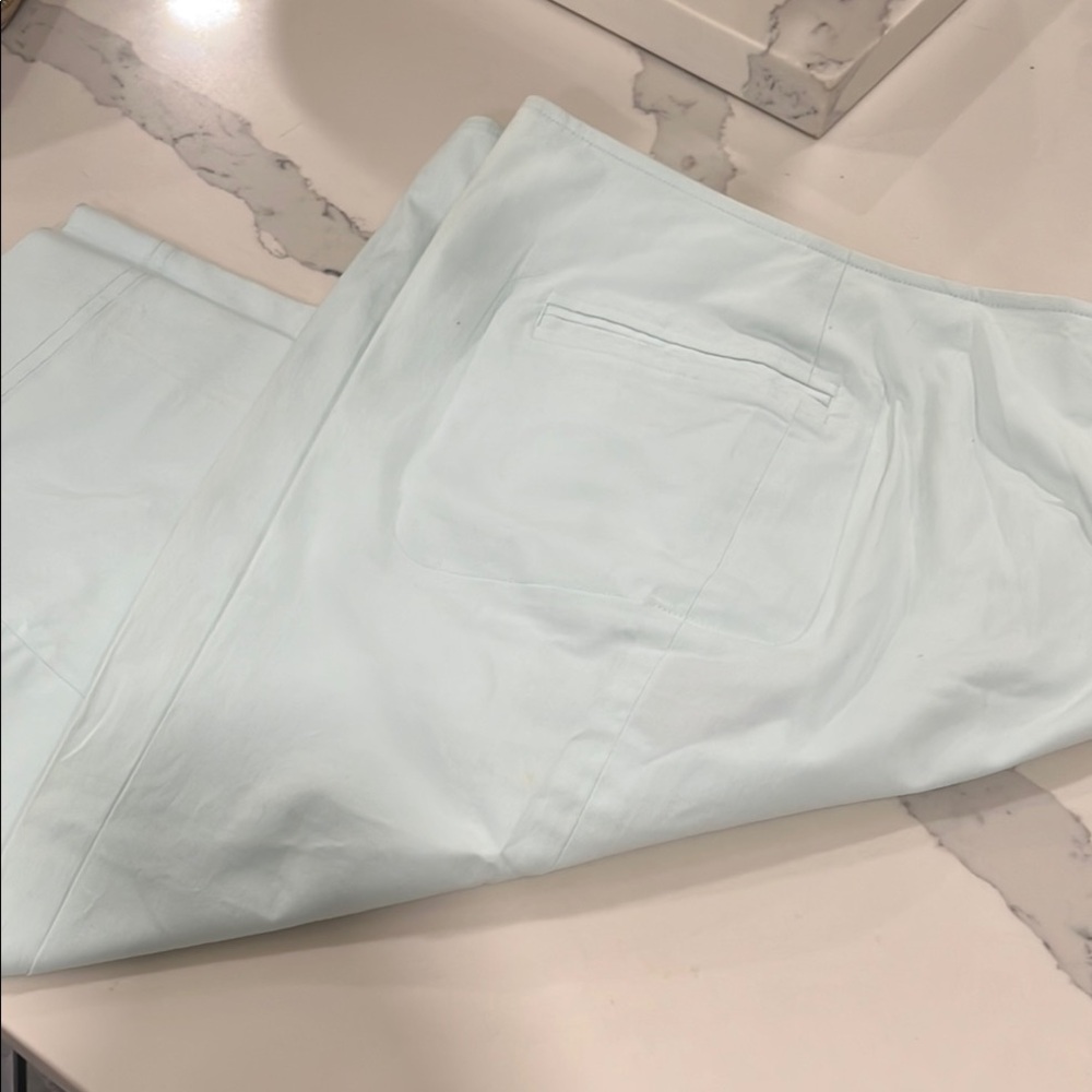 Adrienne Vittadini Light Blue Pants NEW WITHOUT TAGS